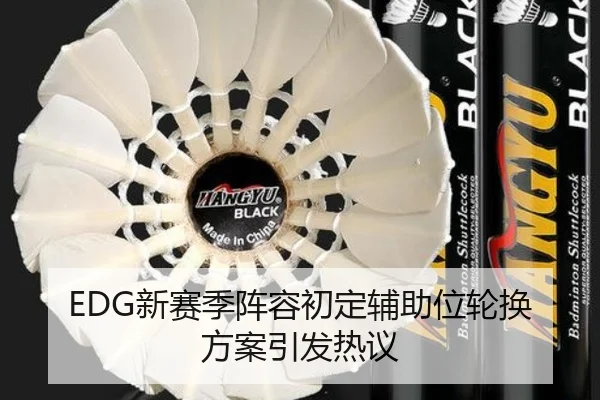 EDG新赛季阵容初定辅助位轮换方案引发热议